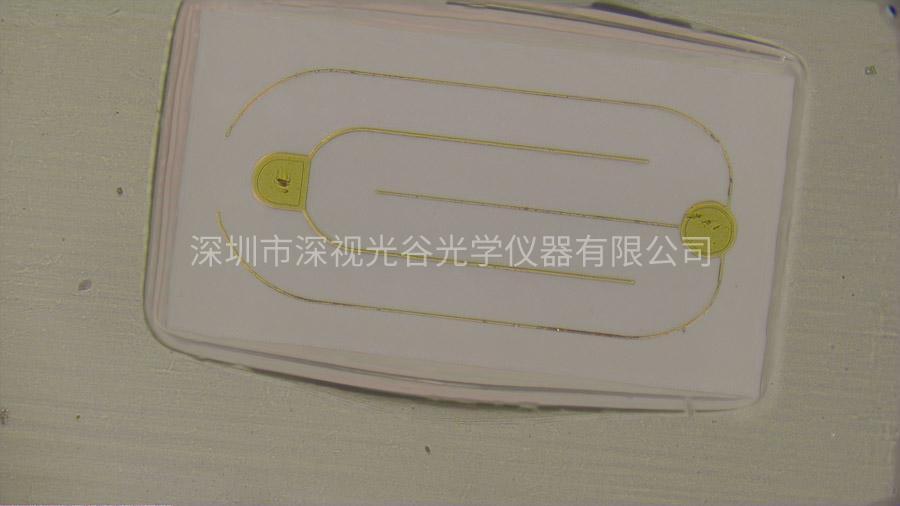 香港凤凰天机特网站