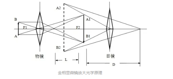 香港凤凰天机特网站